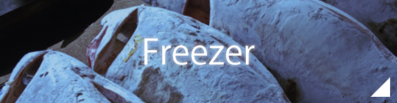 Freezer