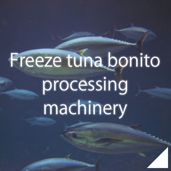 freeze tuna bonito processing machinery